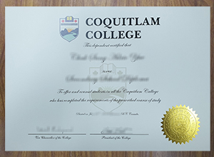 Coquitlam College degree