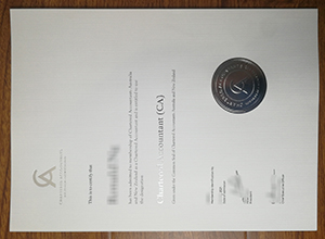 Chartered Accountant(CA) certificate