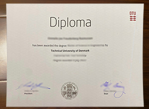 Danmarks Tekniske Universitet degree