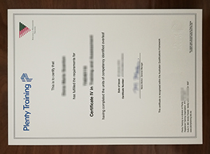 Plenty Training Certificate