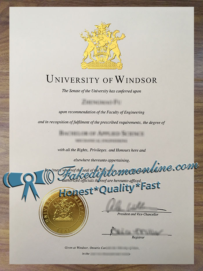 University of Windsor degree