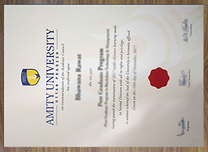 Amity University diploma