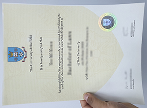 University of Sheffield diploma