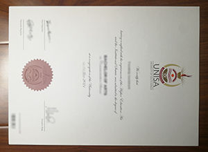 University of South Africa degree