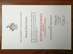 University of the West Indies degree