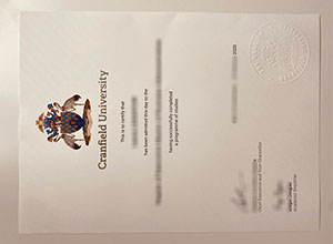 Cranfield University diploma