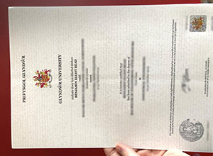 Glyndwr University diploma