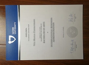 Jacobs University diploma