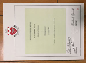 Middlesex University diploma