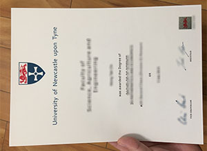 Newcastle University diploma