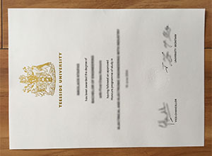 Teesside University diploma