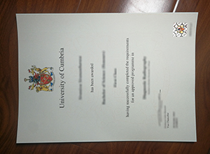 University of Cumbria degree