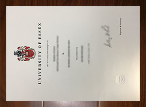 University of Essex diploma