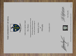 University of Hull diploma