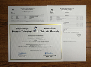 Bahcesehir University diploma