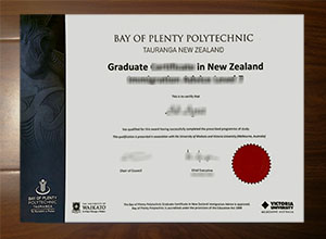 Bay of Plenty Polytechnic diploma