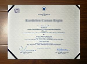 Boğaziçi Üniversitesi degree