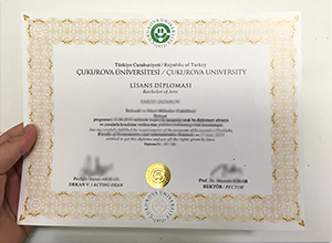 Cukurova-University diploma