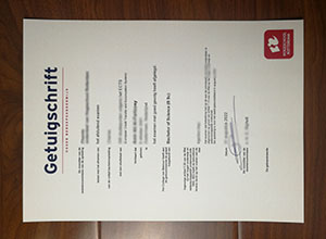 Hogeschool Rotterdam diploma