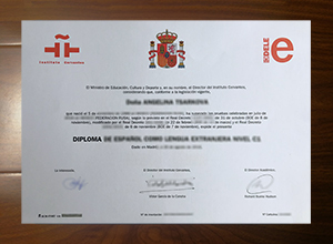 Instituto Cervantes degree