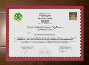 İstanbul Üniversitesi diploma