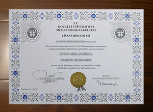 T.C. Kocaeli Üniversitesi degree