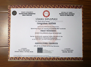 Mustafa Kemal University diploma