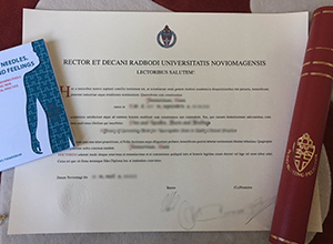 Radboud University Nijmegen diploma