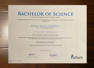 Technische Universiteit Delft diploma