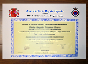 Universidad Rey Juan Carlos diploma