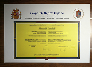 Universidad de Alicante diploma