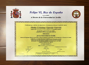 Universidad de Sevilla degree