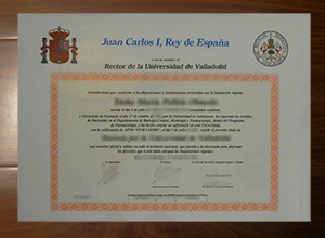 Universidad de Valladolid diploma