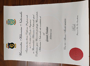 Universitas Hiberniae Nationalis degree