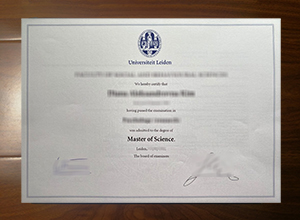 Universiteit Leiden diploma