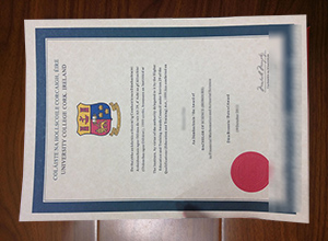 University College Cork diploma