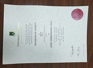 University of Limerick diploma