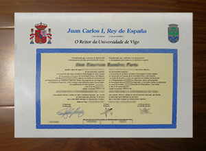 University of Vigo diploma