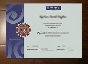 Waikato Institute of Technology diploma