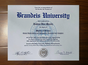 Brandeis University degree