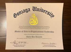 Gonzaga University degree