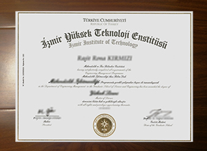 İzmir Institute of Technology diploma