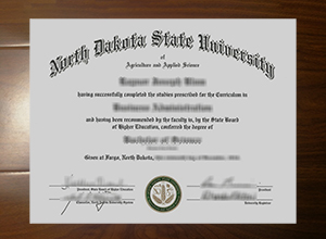 North Dakota State University degree