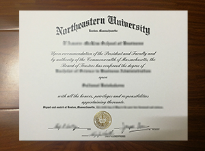 Northeastern University degree