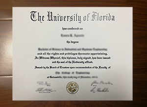 University of Florida diploma