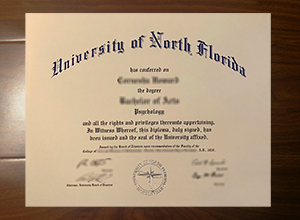 University of North Florida degree