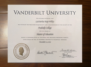 Vanderbilt University degree