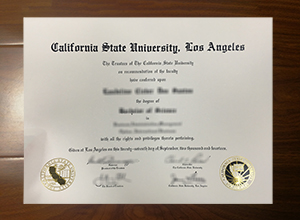 Cal State LA degree