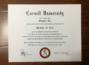 Cornell University diploma