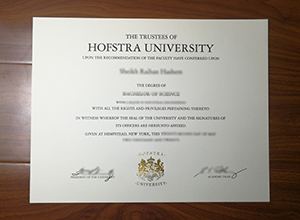 Hofstra University degree